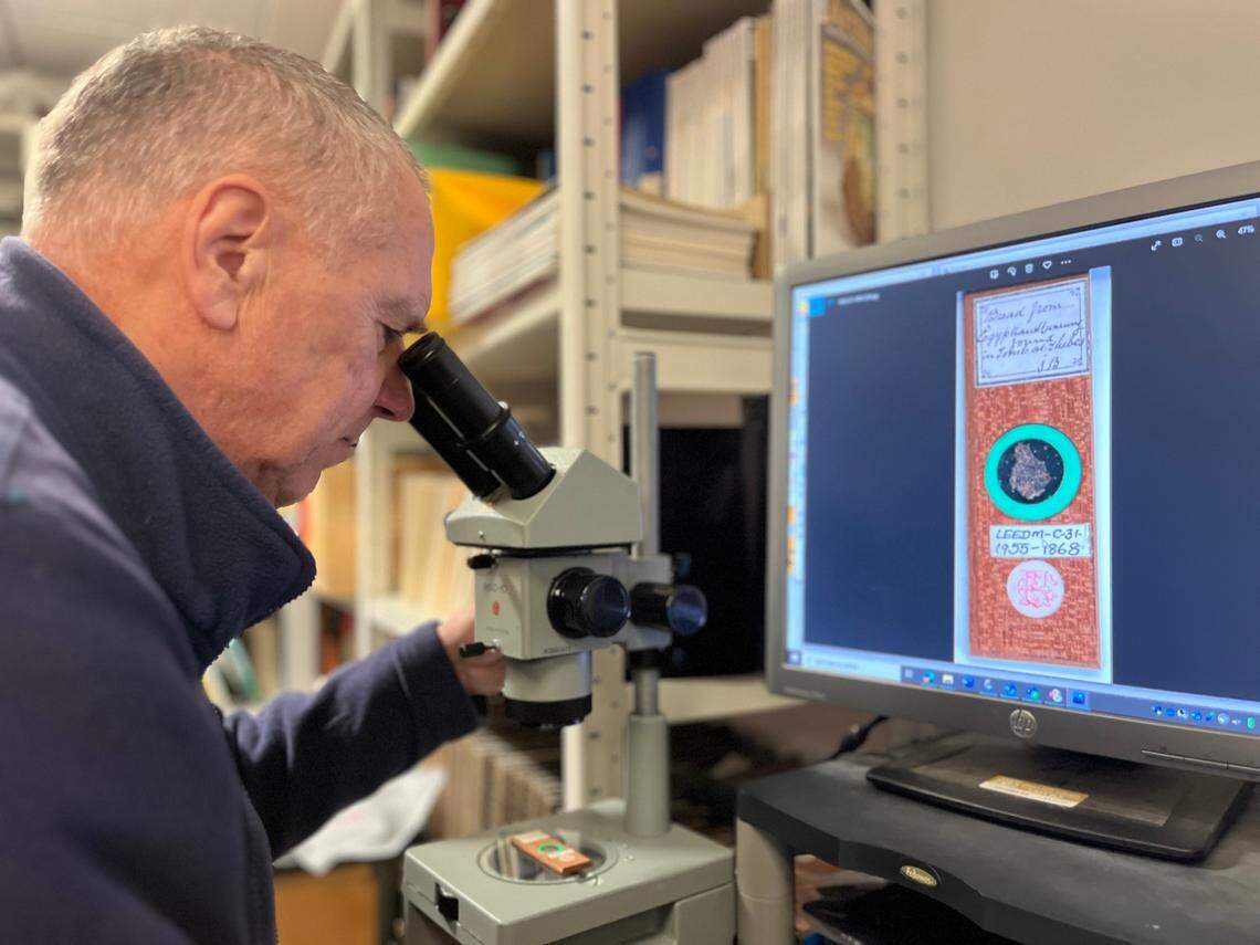 Volunteer Stephen Crabtree looks at the microscope slide of ancient Egyptian bread.