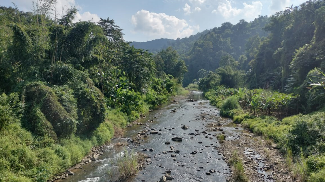 Scientists in Nagaland found a “large” river animal able to change colors and discovered a new species, a study said.