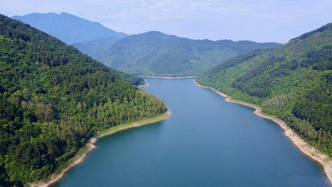 A snake discovered in 2014 is now confirmed to be the same species as an “elusive” snake from the Tam Dao mountains in Vietnam not seen in nearly 90 years, according to a study.