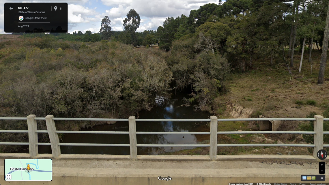 Scientists found a river creature with a “Milky Way”-like pattern on a mountain in Brazil and discovered a new species, a study said.
