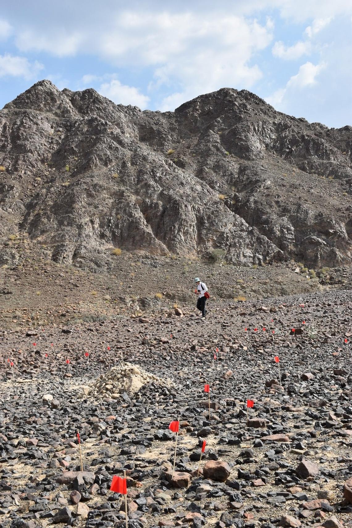 A slope where archaeologists marked copper working tools with red flags.