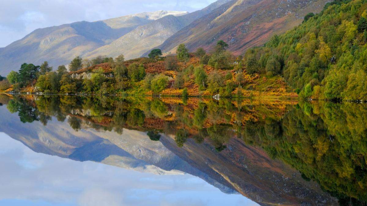Beavers released in Glen Affric National Nature Reserve after 400 years of extinction in Scotland, experts said.