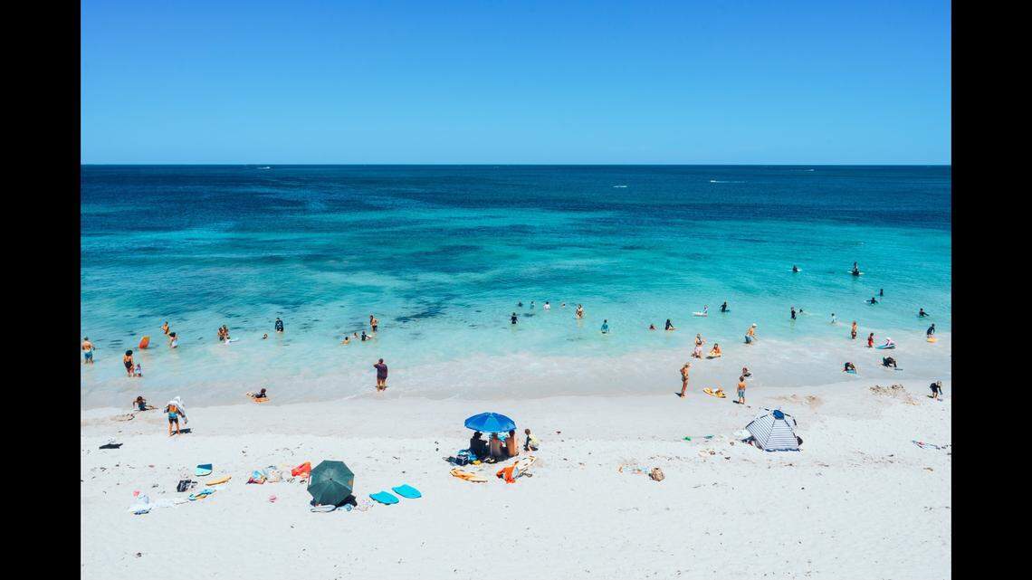 A huge creature appeared near a beach in Perth, Australia, video shows. Crowds were in awe of the rare sight.