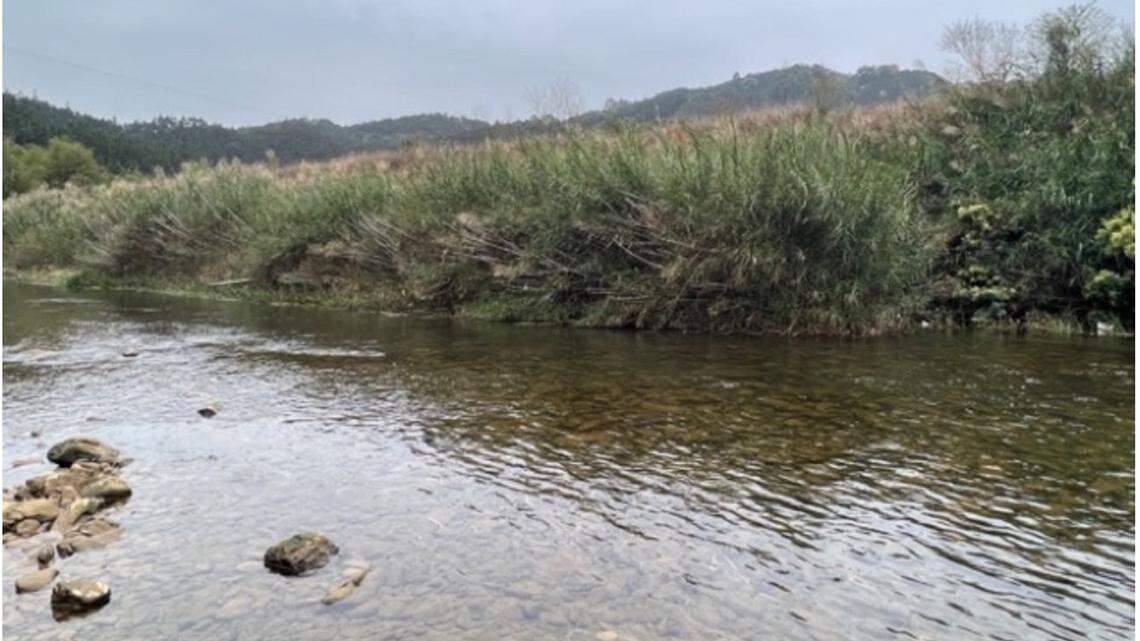 Scientists found a “spiny” animal with “numerous” pointy teeth in waterways of Guangxi and discovered a new species, a study said.
