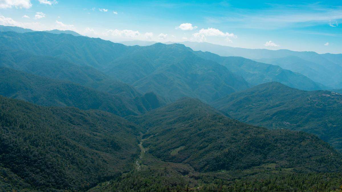 Scientists found a large “dragon”-like animal, able to change colors, in Myanmar and discovered a new species, a study said.