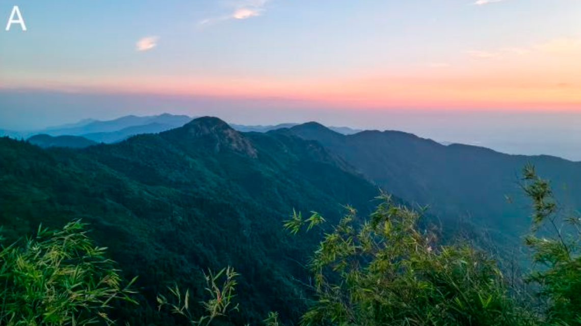 A new species of Boulenophrys toad was discovered on Mount Hengshan in China, according to a study.