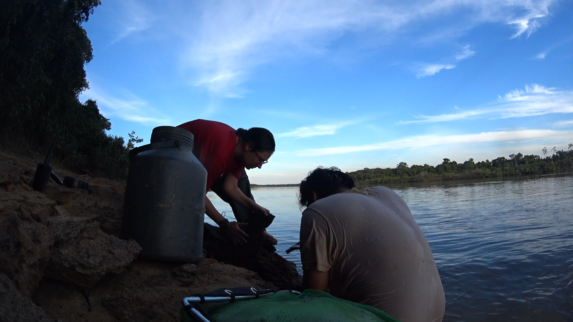 Scientists broke open rocks of a riverbank in Brazil, found a “ghost”-like river creature and discovered a new species, a study said.