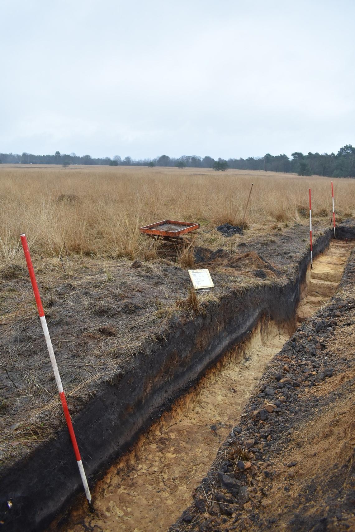 One of the excavation trenches at the Hoog Buurlo site.