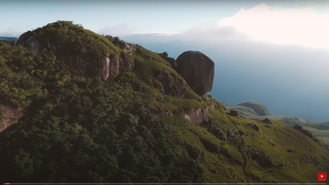 Scientists found an “aggressive” creature with scars and parasites in the Brazil highlands and discovered a new species, a study said.