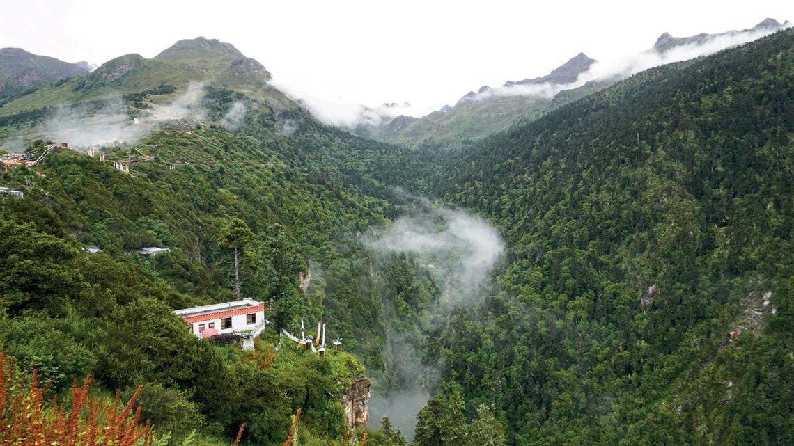 Scientists found a “lazy” animal with a “purplish” chest in the mountains of China and discovered a new species, a study said.