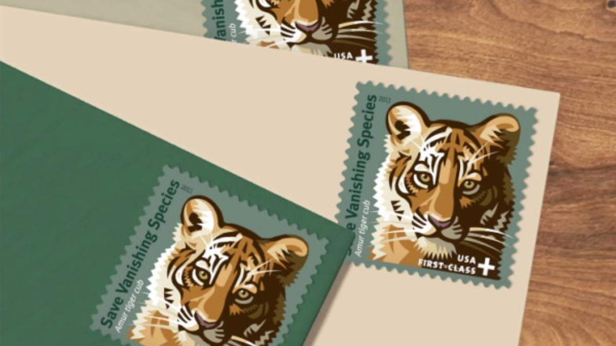 U.S. funding for foreign assistance, or aid, projects in Russia is drying up after decades of support. Tiger conservation was the one exception.