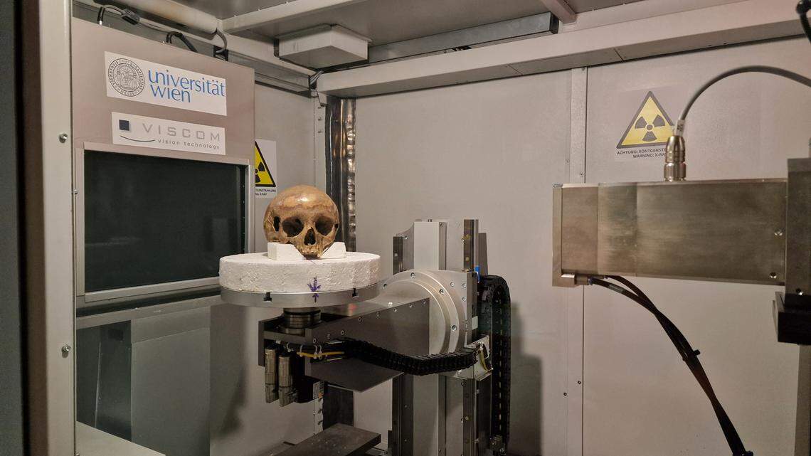 The Octagon skull as seen during a recent scan in Vienna, Austria.