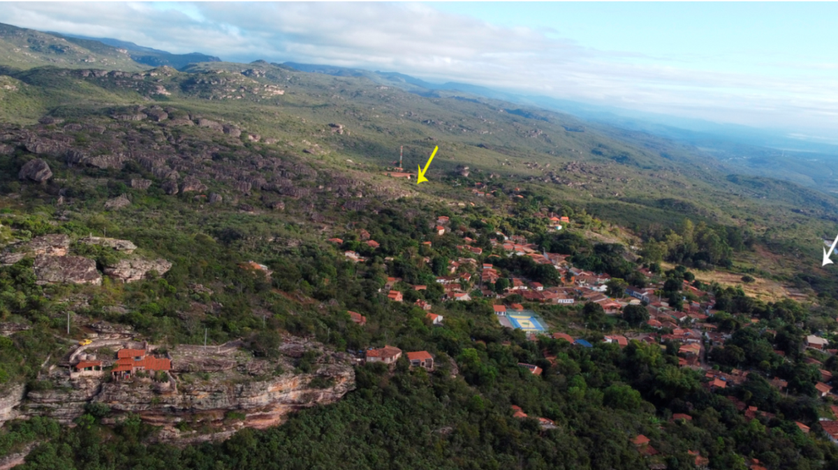 A new species of cave-dwelling cricket was discovered in an abandoned mining village in Brazil, according to to a study.