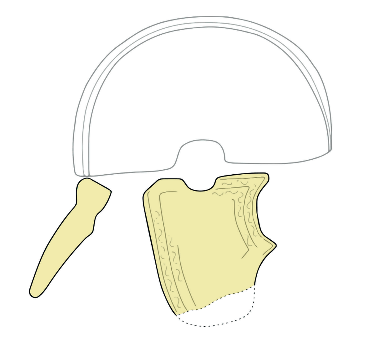 A diagram showing how the ancient Roman helmet from Løsning would have functioned. The style of the helmet’s top is unknown and drawn for illustration purposes.