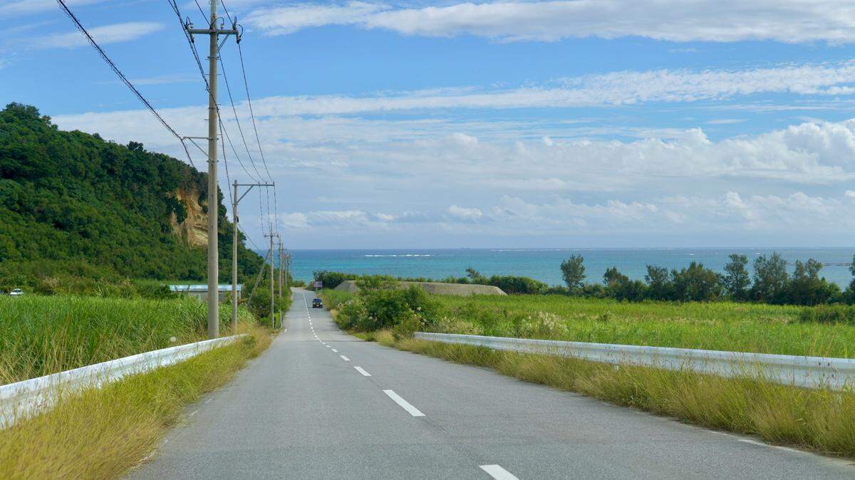 Scientists found a “long”-tailed animal with “large” red eyes in Japan and discovered a new species, a study said. Photo shows a representative area of Okinawa.