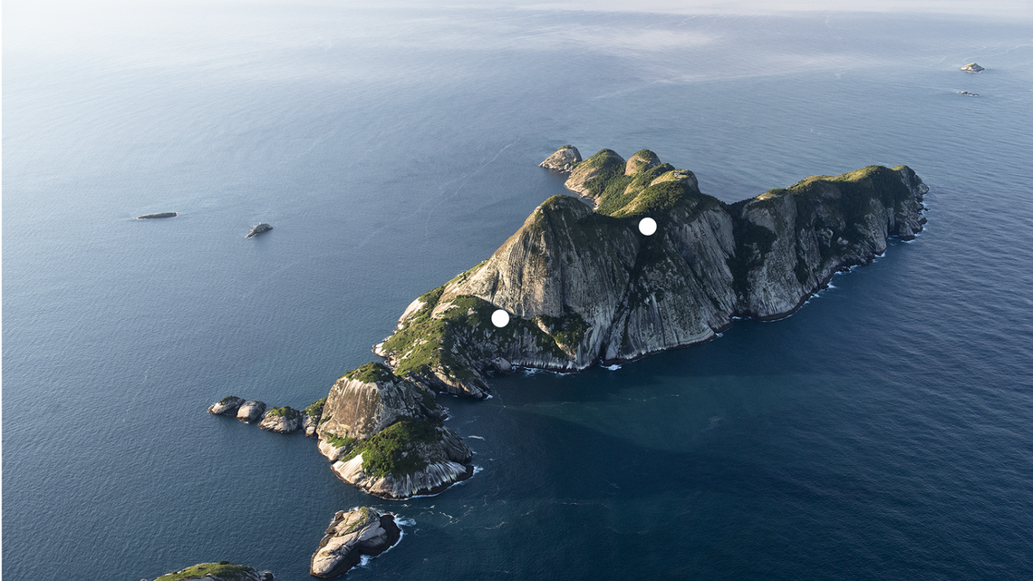 The rare Begonia larorum was rediscovered on Brazil’s Alcatrazes Island after not being seen for more than a century, according to a study. The rare Begonia larorum was rediscovered on Brazil’s Alcatrazes Island after not being seen for more than a century, according to a study.