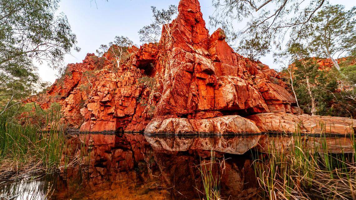 The fossil was discovered in Boodjamulla National Park, officials said.