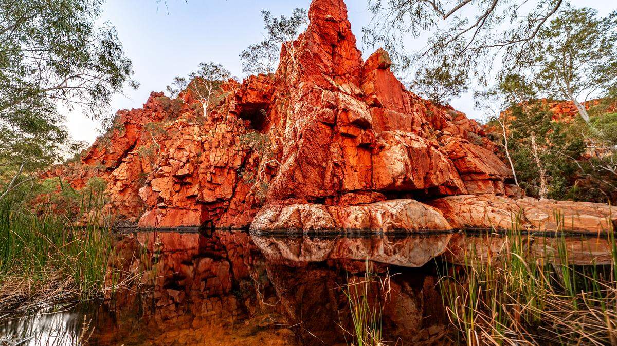 The fossil was discovered in Boodjamulla National Park, officials said.