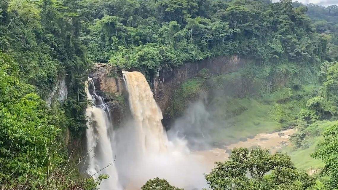 Scientists found brown-shelled creature with “slim” fingers in a river of Cameroon and discovered a new species, a study said. Photo shows a nearby area.