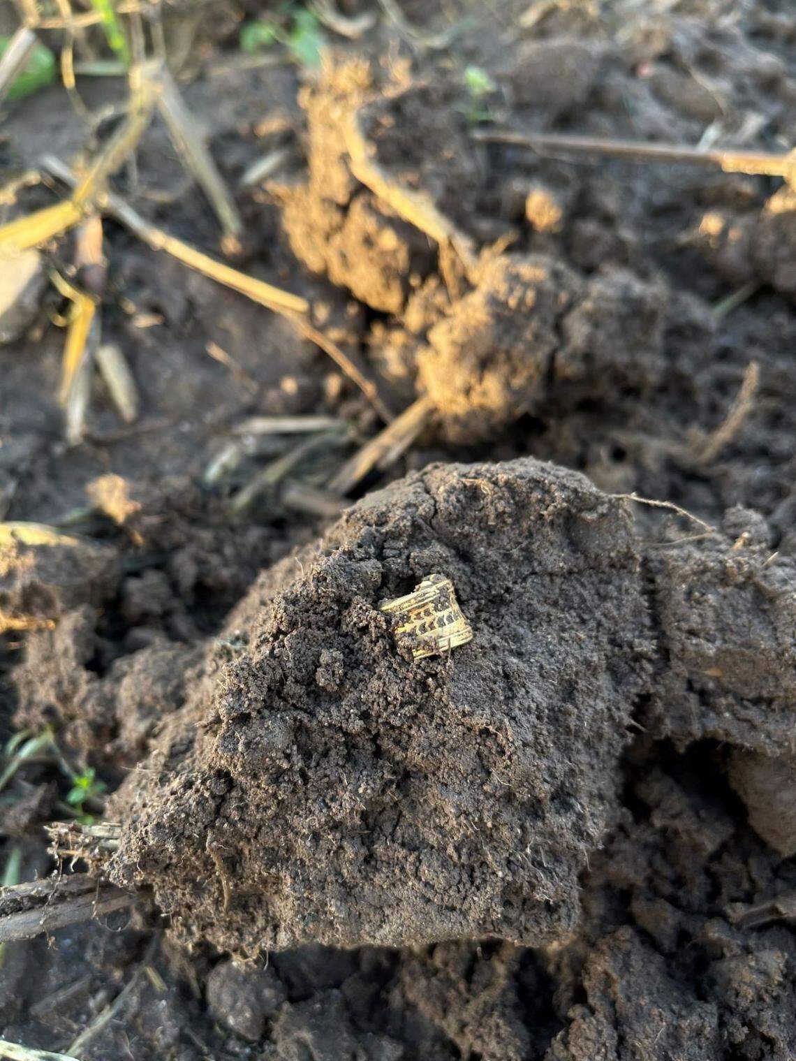 The ancient Roman lock box as seen partially buried.
