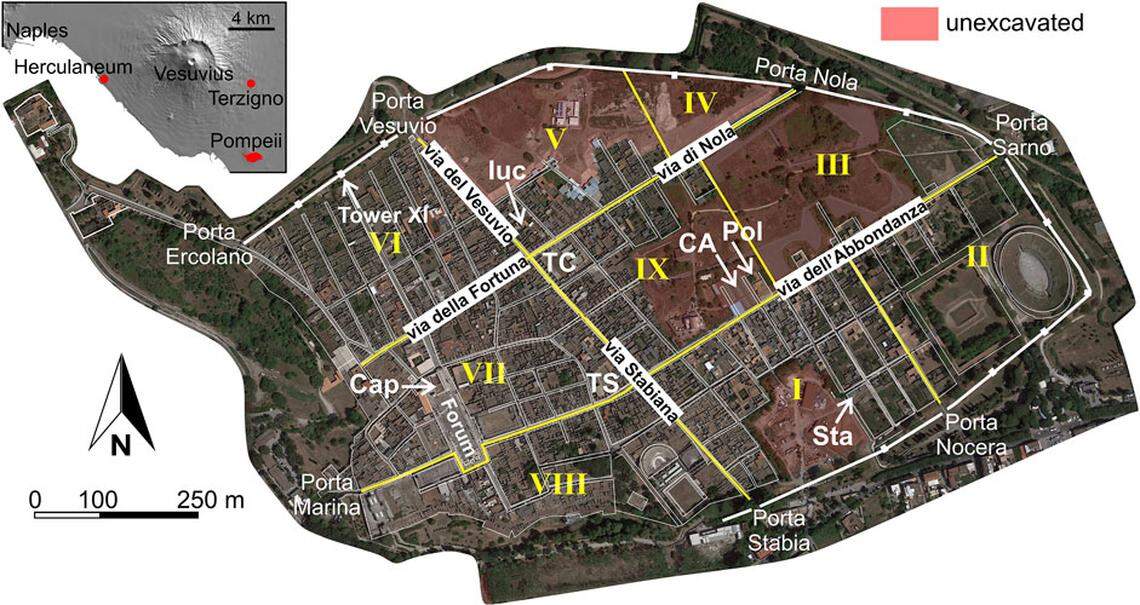 A satellite map shows Pompeii’s numbered neighborhoods, main streets and unexcavated sectsion (shaded in pink).