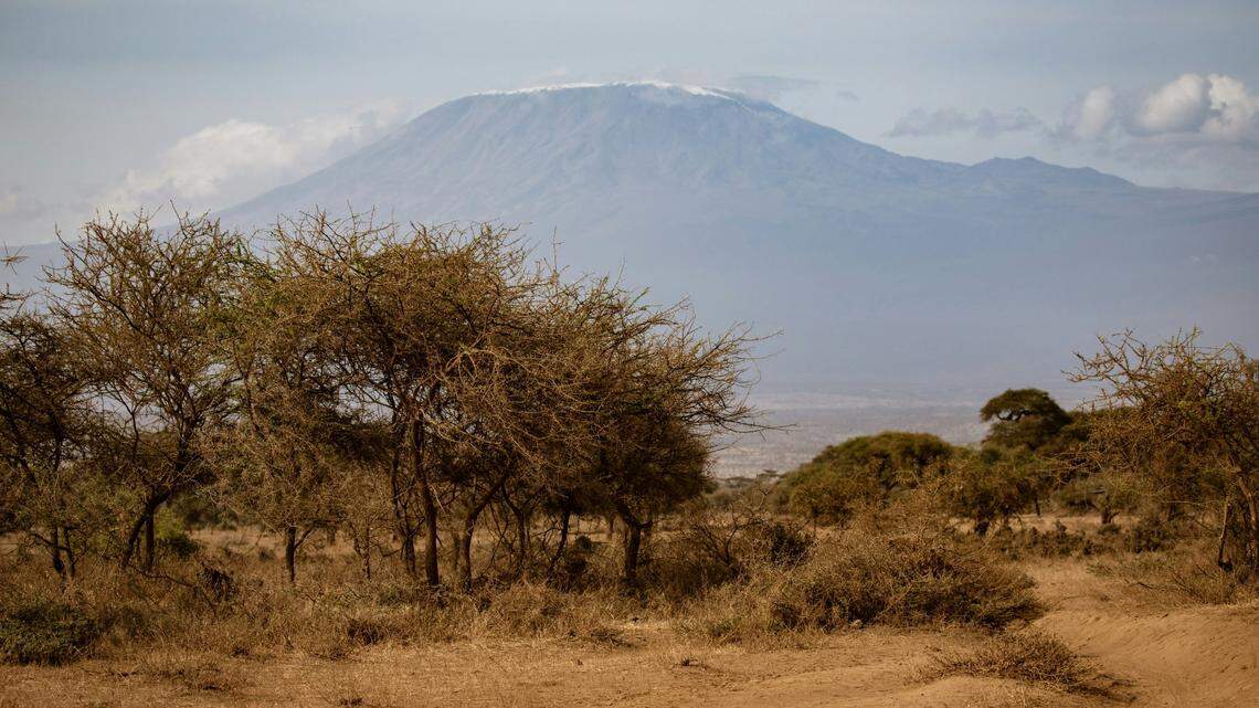 The animal was struck with a spear in what experts with the Sheldrick Wildlife Trust said was likely a conflict with humans.