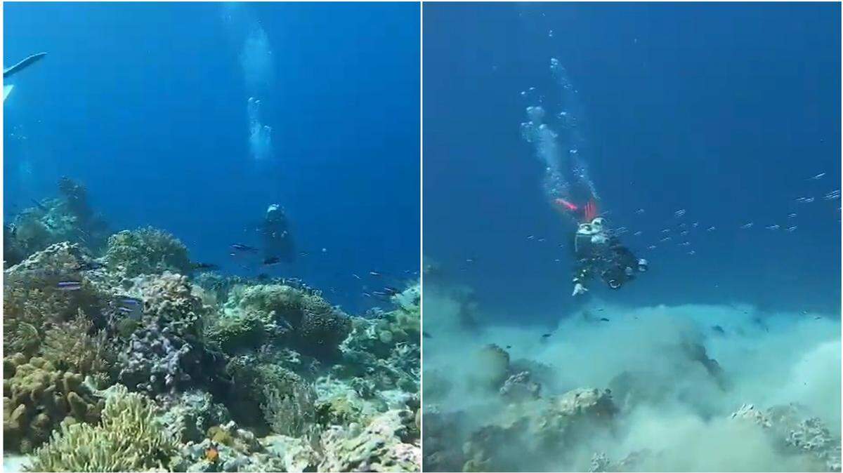Scuba divers in the Banda Sea were shook by an earthquake. The group grabbed onto the coral reef as sand surged upward, videos show.
