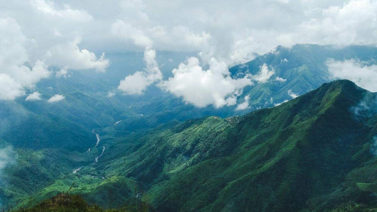 The lizards were found in Meghalaya, which is part of the Indo-Myanmar biodiversity hotspot, according to researchers.