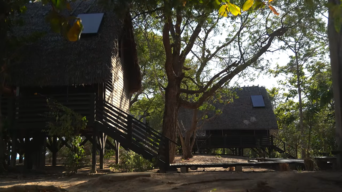 Scientists found a “dwarf”-like creature sleeping on a tree near a hotel in Madagascar and discovered a new species, a study said.