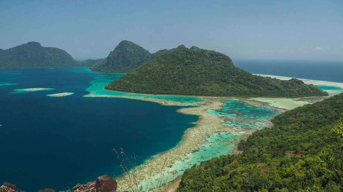 Mops johorensis, an elusive species of free-tailed bat, was recorded for the first time on the island of Borneo, according to a study.