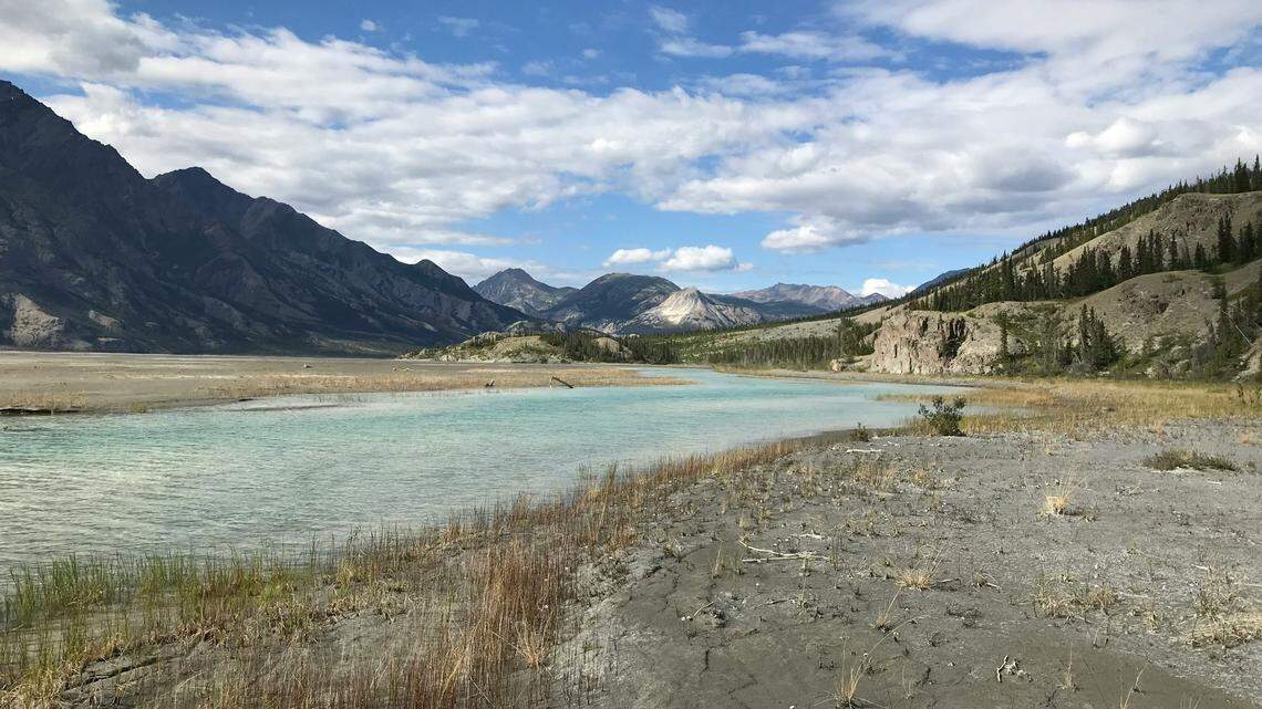 Experts said miners at the site used their hoses to help paleontologists thaw the ground to remove the skull.
