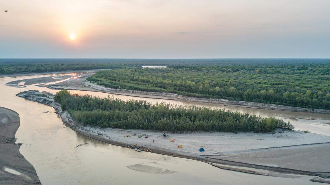 Tour guides boating at a national park in Argentina saw a jaguar with a baby, the first wild jaguar cub born in the region since 1990, photos show.