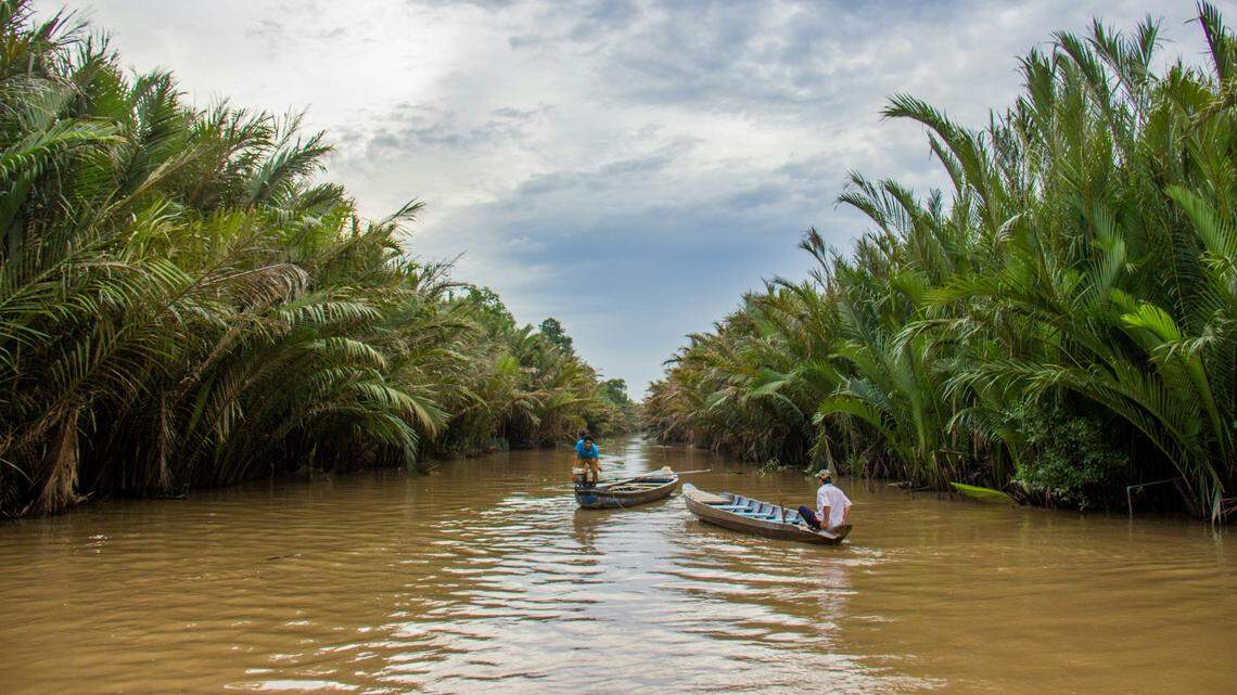 Scientists found a 3-foot-long creature with “large” teeth in brackish river water and discovered a new species, a study said.