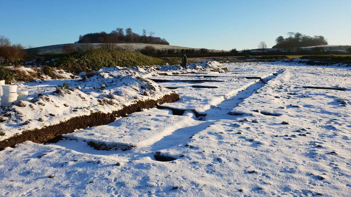 Archaeologists in Oxfordshire excavated ancient Roman house with 15 dogs buried in graves, including a small “much-loved pet,” photos show.