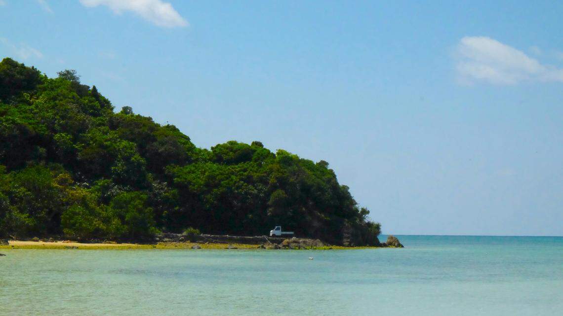 The new species inhabits the tubes of parchment tube worms in the Chaetopterus genus, researchers said. 