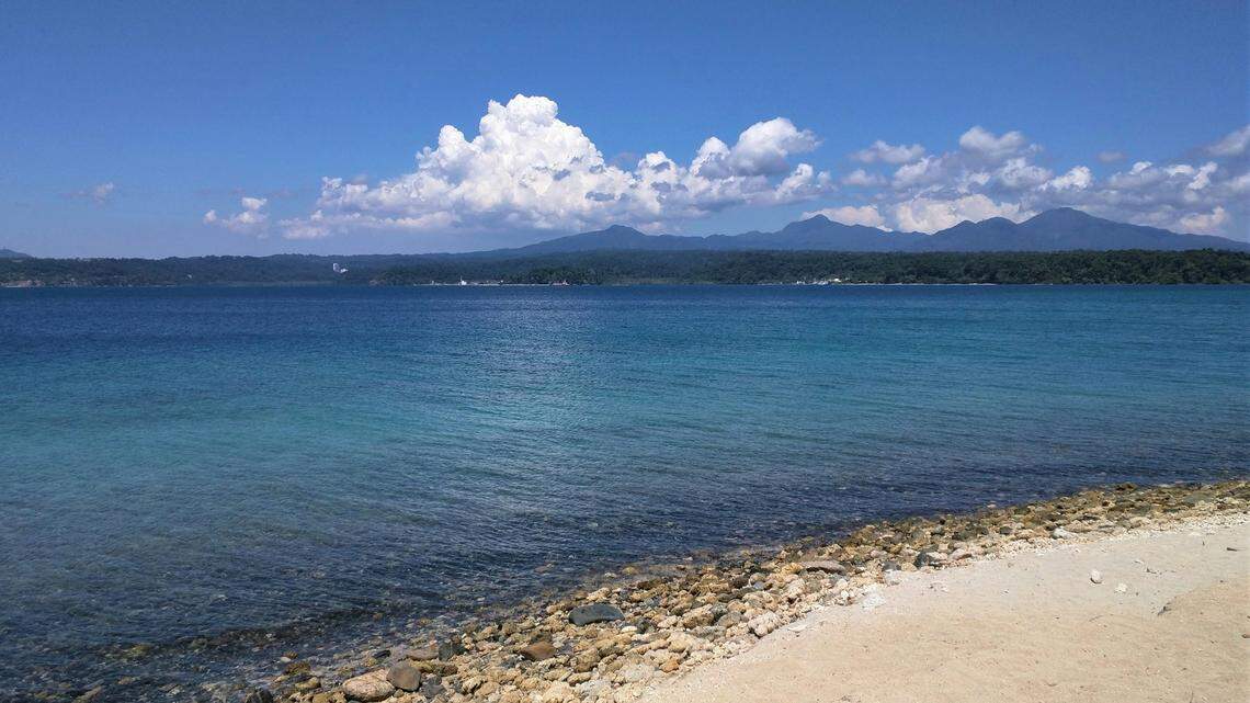 Scientists found a sea animal “adorned with gold” and discovered a new species, a study said. Photo shows a representative area of the Philippines.