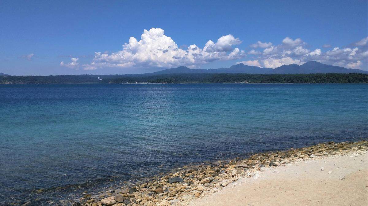 Scientists found a sea animal “adorned with gold” and discovered a new species, a study said. Photo shows a representative area of the Philippines.
