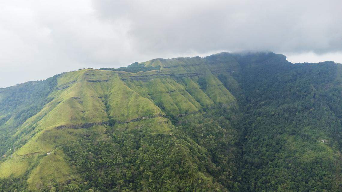 A golden-haired tube-nosed bat was caught in Mizoram, India, making it the first time the species has been recorded in the country, a study said.