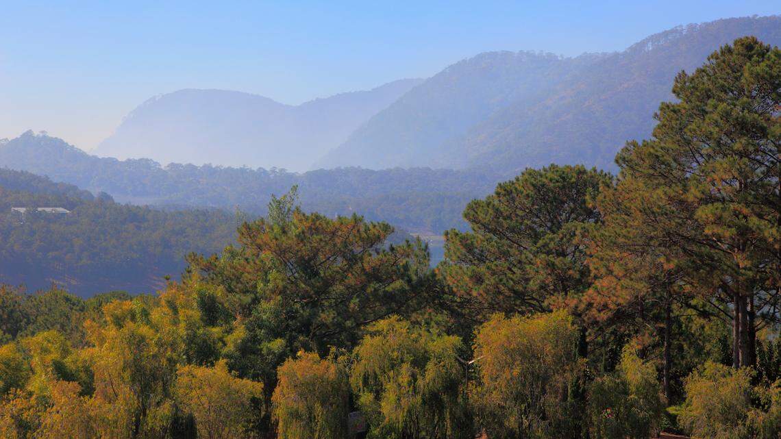 Scientists in Vietnam found a metallic-looking creature with a “window” in its eyelid and discovered a new species, a study said.