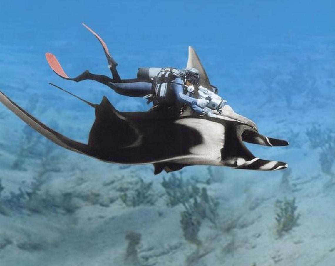 Valerie de la Valdene, a world-class underwater photographer, died in the Galapagos in 2014. Authorities ruled it a suicide, but friends and family believe there’s more to the story.