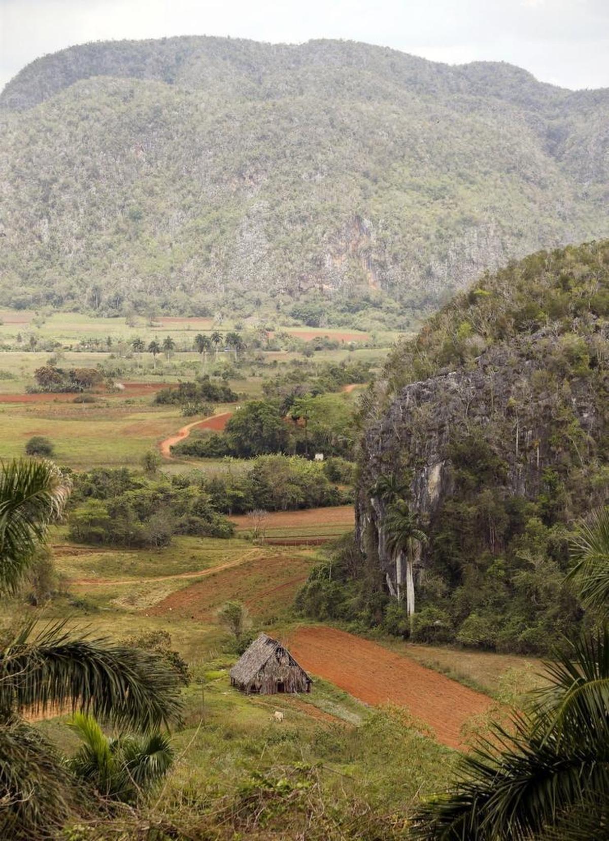 The mogotes rising out of the Valley of Viñales, Cuba, on Thursday, March 24, 2016, are a draw for tourists.