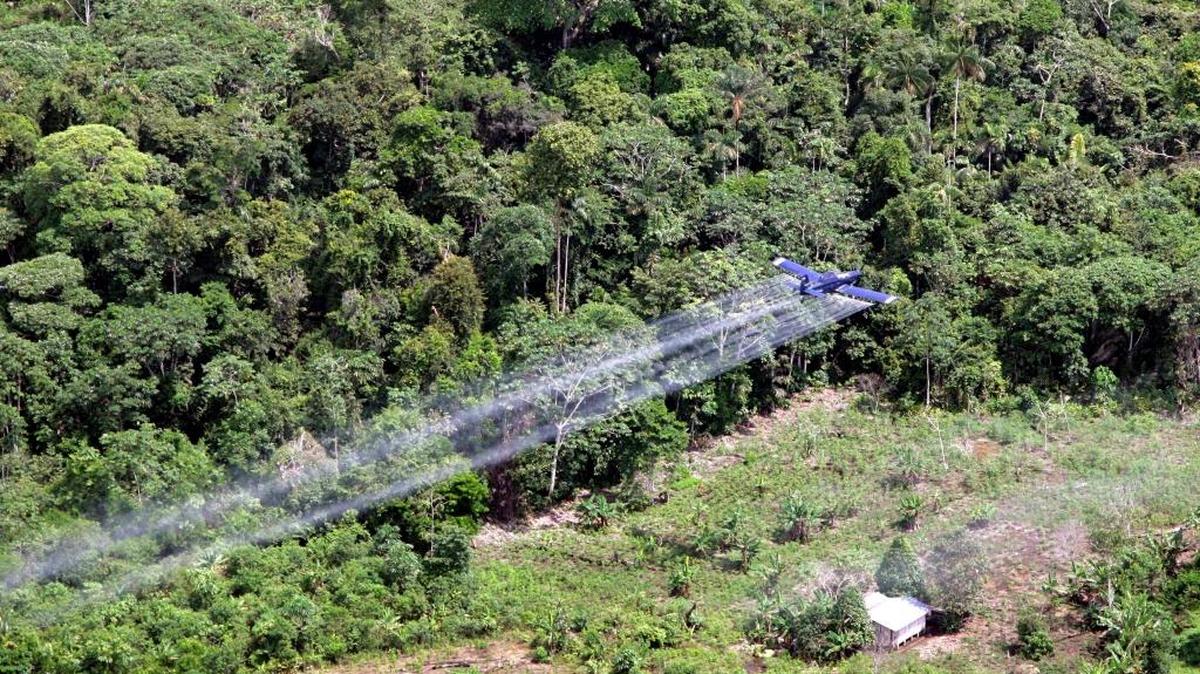 An AT-802 plane is seen fumigating over coca fields in San Miguel, close to the border with Ecuador, some 400 miles south of Bogota, Colombia, Monday, Dec.11, 2006. Ecuador has complained that the fumigation is a health hazard for the people that live in the region.