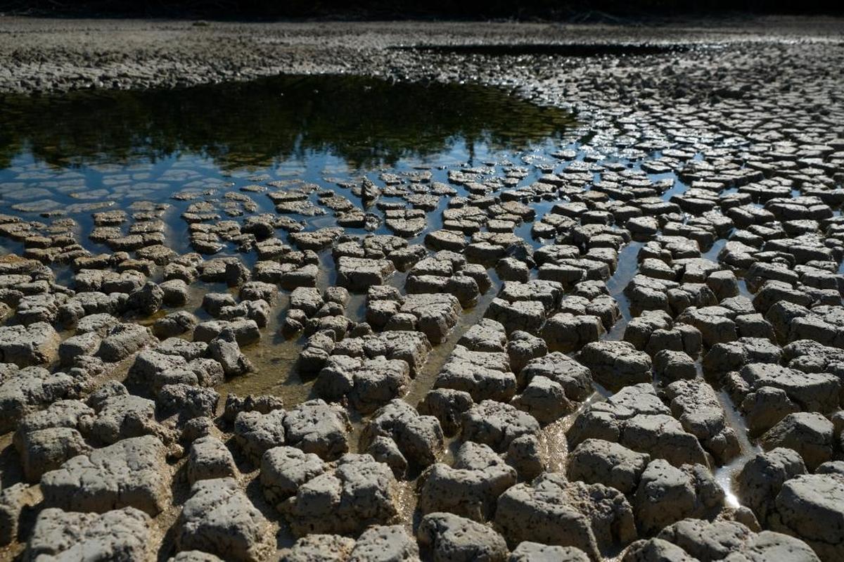 The lake beds leading to the La Salinas area of Ciénaga de Zapata National Park on Cuba's southern coast would usually be full from May rains. But by mid-month, they remained parched and cracked from the drought that has persisted in Cuba for about three years.