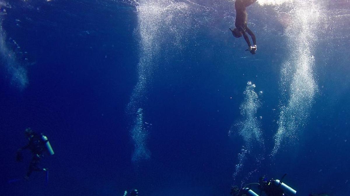 Underwater photographs taken at dive locations off the southern coast of Cuba, including María La Gorda, Punta Francés, Cayo Los Indios, Cayo Largo and Cayo Blanco.