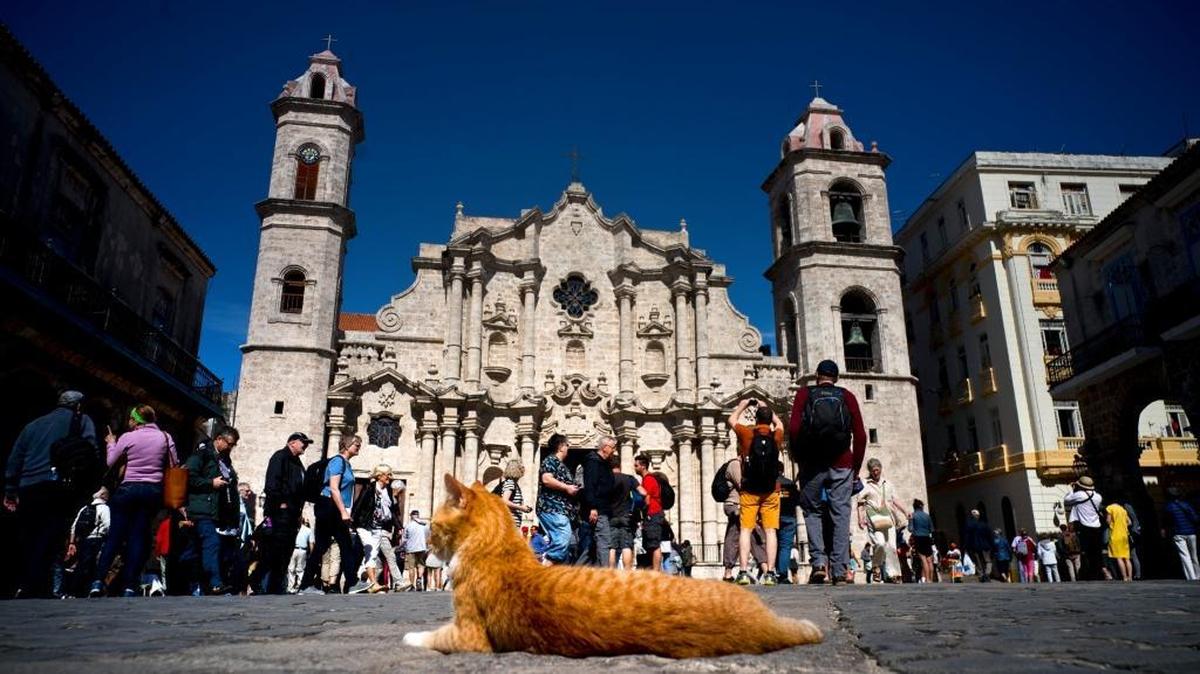 Tourists visit the cathedral square as a cat basks under the sun in Havana. While the U.S. prohibits tourism to Cuba, Americans can travel here for specially designated purposes like religious activity or the vaguely defined category of people-to-people cultural interaction.