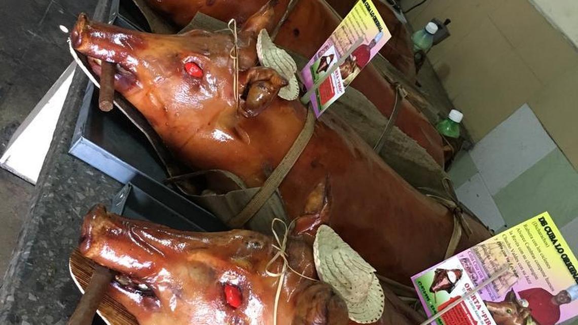 Several roasted pork orders are ready for delivery at René Mesa’s farm in Cuba. Better known as Piro, he is regarded as one of the best cooks in Cuba for the coveted roasted pig.