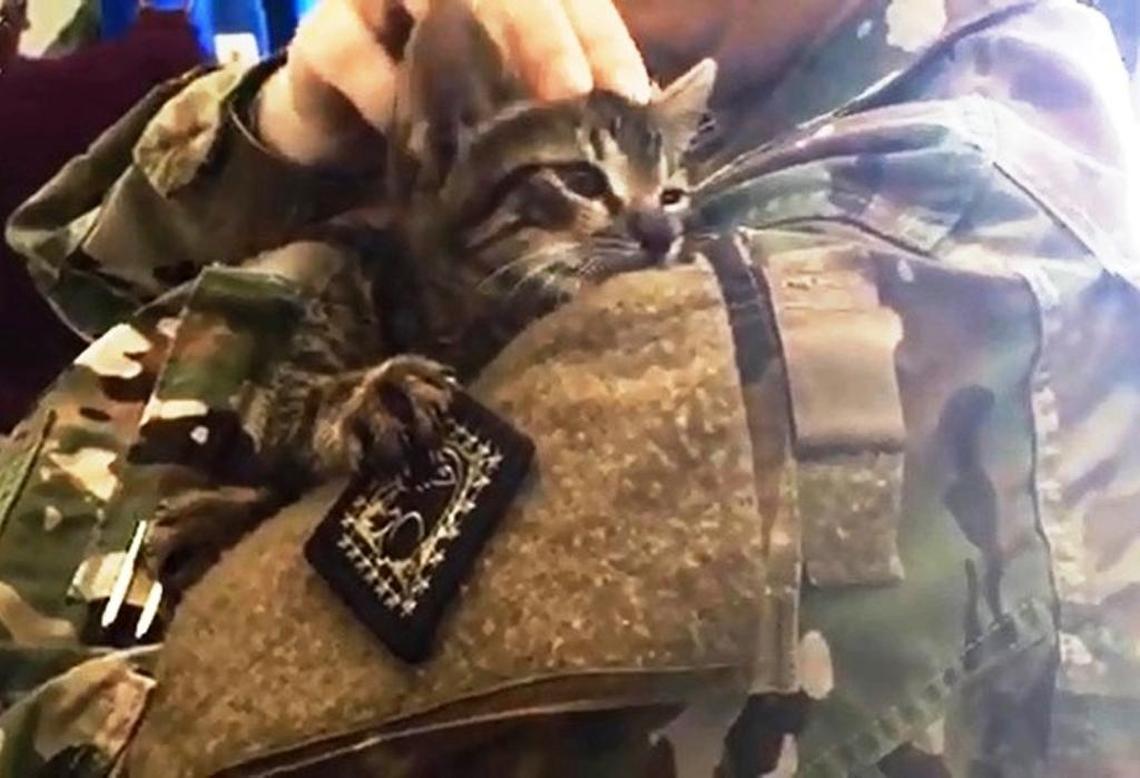 A cat-loving Army sergeant plays with a foster cat at a self-styled backyard shelter in a neighborhood at the U.S. Navy base at Guantánamo Bay, Cuba, in a photo approved for release by the U.S. military.