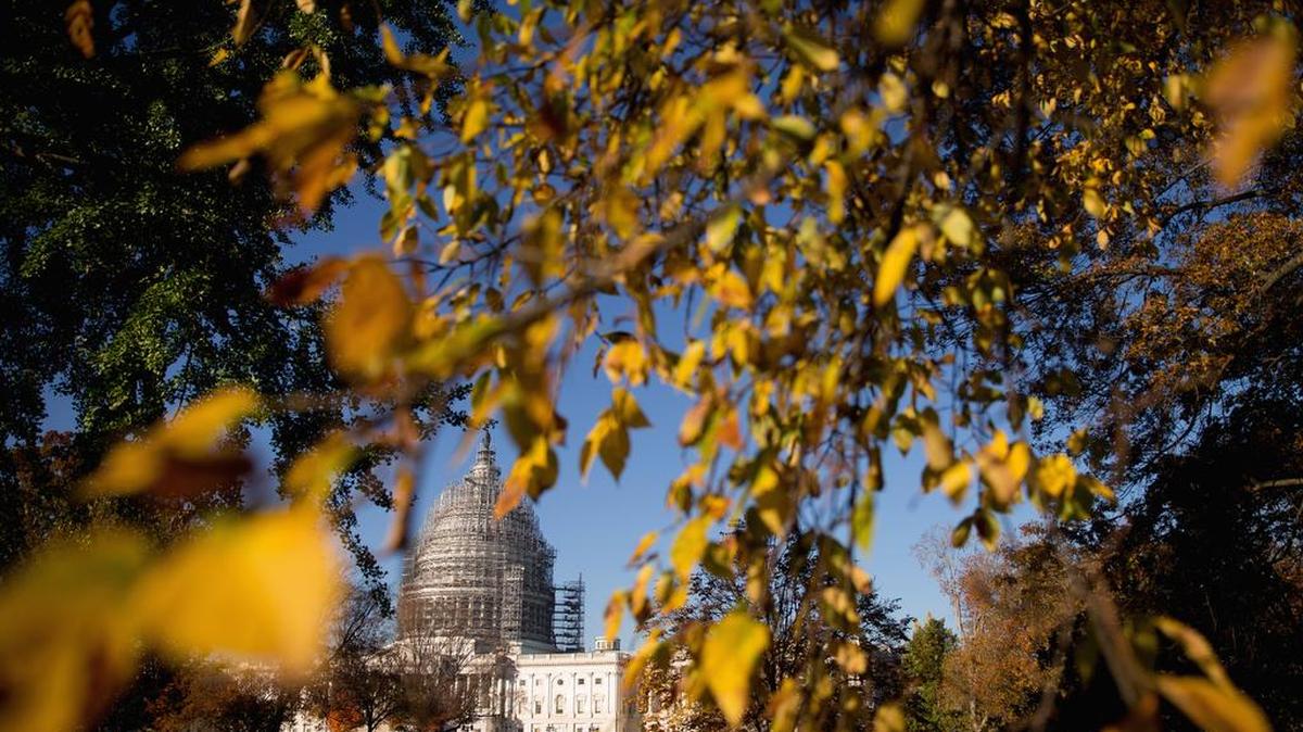 The Capitol dome is visible through fall foliage on Capitol Hill in Washington, Nov. 4, 2015.