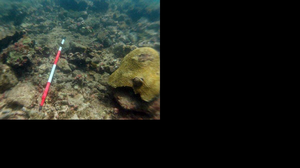 
A ballast pile under the water off Haiti’s northern coast is examined by a team from UNESCO, which recently investigated the wreck that was discovered by U.S. explorer Barry Clifford. Clifford is certain the remains are that of Christopher Columbus’s Santa Maria flagship. 
