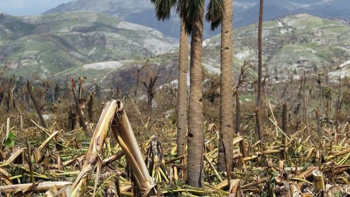 Port Salut, Haiti, on Oct. 9, 2016, after Hurricane Matthew.